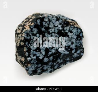 Snowflake Obsidian, igneous rock Stock Photo - Alamy