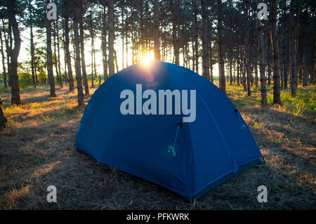 Camping tent in the forrest while sunset Stock Photo
