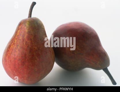 Two fresh pears with red skin and long stalk. Stock Photo