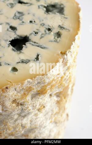 Fourme d'Ambert blue cheese, close-up Stock Photo