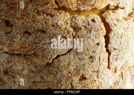 Fourme d'Ambert blue cheese with brown rind, close-up Stock Photo