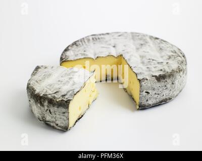 Sliced round of ash-coated Austrian Weinkase Stock Photo