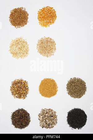 Selection of bird seeds Stock Photo