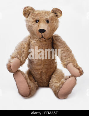 Teddy 2024 bear 1902