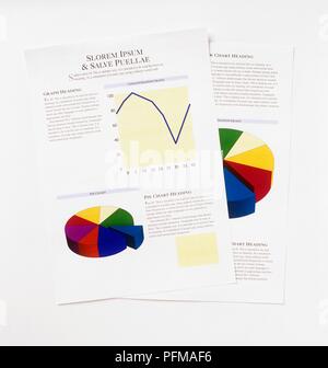 Two sheets of paper with graphs and pie charts on them Stock Photo