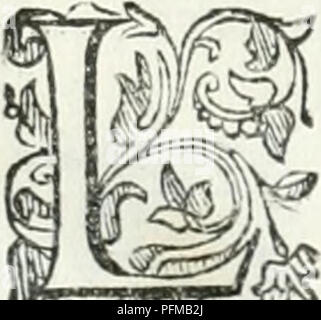 The image comes from Donato d'Eremita's text on alchemy and medicinal plants. It describes the 'elixir of life' and the process of distillation, offering workshop recipes related to early medicinal practices. The illustrations, extracted from a scanned page, may show enhancements not present in the original manuscript. Stock Photo