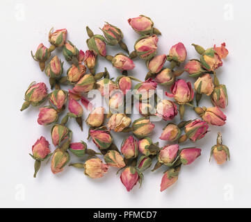 Dried rose flower heads, close-up Stock Photo
