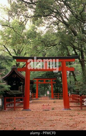 Torii gate at Shimogamo Shrine, Kyoto, Japan Stock Photo - Alamy