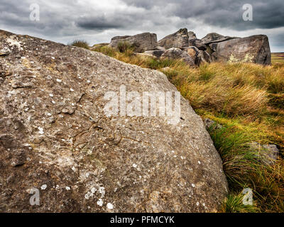 Boulder with horse head carving on Burley Moor West Yorkshire England Stock Photo