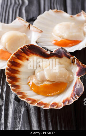 Sea edible mollusks raw scallops in shell close-up on a black table. Vertical background Stock Photo