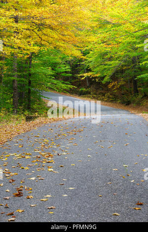 Willey House Station House Road in Harts Location, New Hampshire during the autumn months. This area is within Crawford Notch State Park. Stock Photo