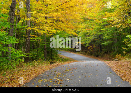 Willey House Station House Road in Harts Location, New Hampshire during the autumn months. This area is within Crawford Notch State Park. Stock Photo