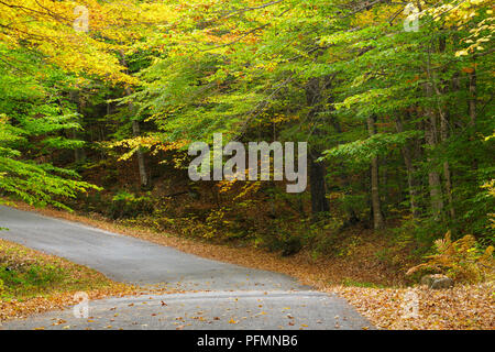 Willey House Station House Road in Harts Location, New Hampshire during the autumn months. This area is within Crawford Notch State Park. Stock Photo