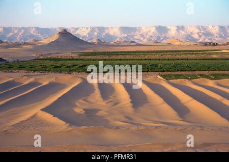 Egypt, near Al-Qasr, view of Dakhla Oasis surrounded by desert Stock Photo