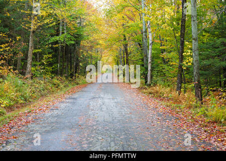 Autumn foliage along Mount Clinton Road in Crawford's Purchase, New Hampshire. Stock Photo