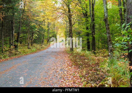 Autumn foliage along Mount Clinton Road in Crawford's Purchase, New Hampshire. Stock Photo