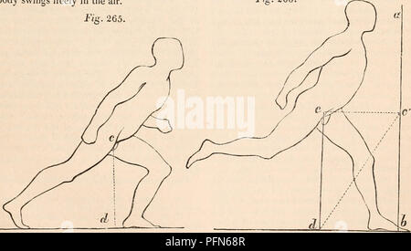 . The cyclopædia of anatomy and physiology. Anatomy; Physiology ...