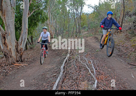 clarence mountain bike park