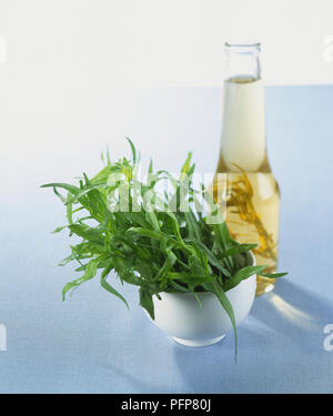 Artemisia dracunculus var. sativa, fresh French Tarragon sprigs in small bowl, bottle of oil in backgound. Stock Photo