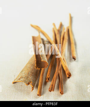 Cinnamomum cassia, whole dried Cassia bark and quills, close up. Stock Photo