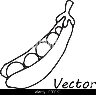 simple cute vector drawing pea pod for coloring for children design and logo Stock Vector