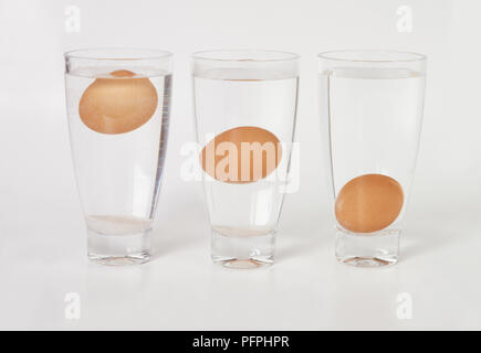 Egg Floating In Glass Of Water Sink Or Float Egg Freshness