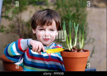Boy (4 years) holding trowel next to flowerpot containing daffodil bulbs Stock Photo