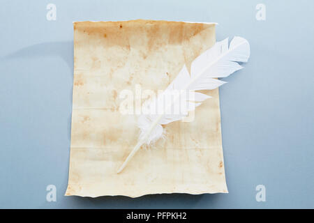 Aged paper and feather quill Stock Photo
