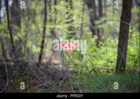 South Korea, Seoul, Demilitarised Zone (DMZ), barbed wire on edge of minefield Stock Photo