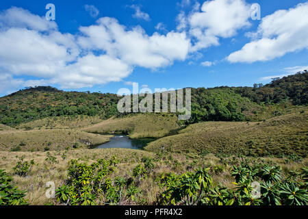 Sri Lanka, Uva Province, Nuwara Eliya, Horton Plains National Park, river Stock Photo