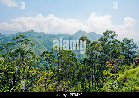 Sri Lanka, Uva Province, Ella, Little Adam's Peak Stock Photo