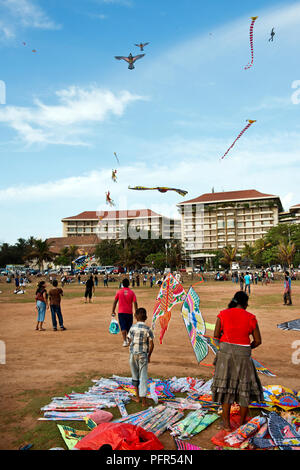 Sri Lanka, Western Province, Colombo, kites flying on Galle Face Green Stock Photo