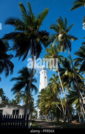 Sri Lanka, Southern Province, Dondra, Dondra Head lighthouse and palm tree Stock Photo