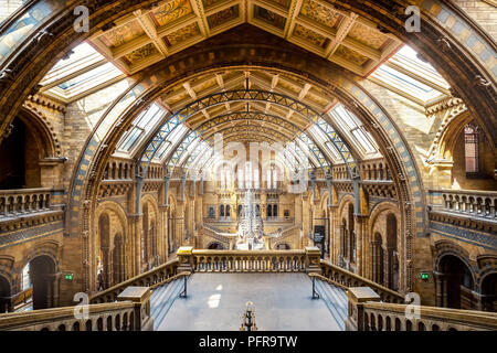 The Natural History Museum in London, UK.  LONDON, UNITED KINGDOM - MAY 14 2018: The Natural History Museum houses a vast range of specimens of natura Stock Photo