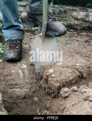 Man using spade to dig and break up soil, close-up Stock Photo