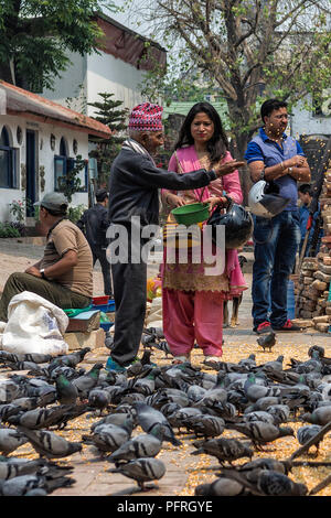 Kathmandu, Nepal - April 13, 2016: Unitendified visitors are feeding pigeons with dry corn near Durbar Square in Bhaktapur after major earthquake in 2 Stock Photo