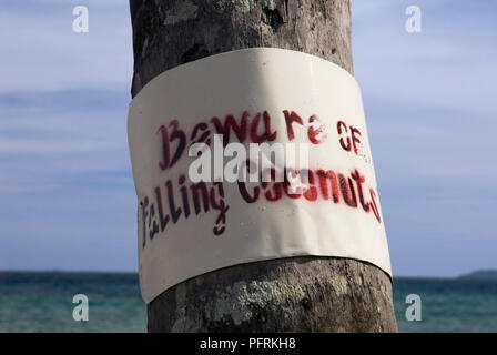 Malaysia, Pulau Tioman (Tioman Island), Paya beach, sign on tree trunk reading 'beware of falling coconuts', close-up Stock Photo