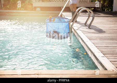 Cleaning swimming pool of fallen leaves with blue skimmer net Stock Photo