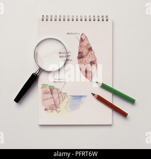 Notebook with colour sketches of cliff, a small rock, green and brown pencils and a magnifying glass Stock Photo