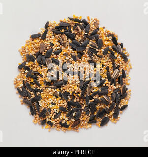 Heap of sunflowers seeds, millet, and popping corn suitable for feeding wild birds Stock Photo