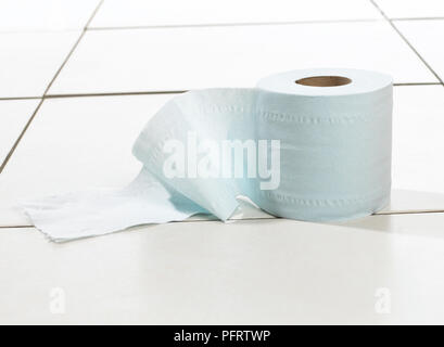 Toilet roll on floor Stock Photo