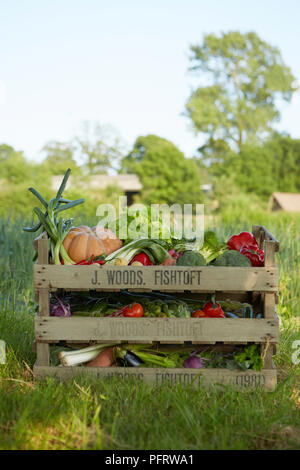 Crates of mixed organic vegetables in a landscape setting Stock Photo