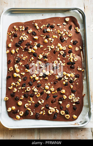 Milk chocolate bark with hazelnuts and raisins Stock Photo