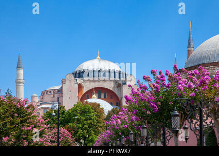 Daytime view of the world's famous Hagia Sophia museum with beautiful flowers in Sultan Ahmet Park, Istanbul, Turkey Stock Photo