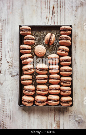 Chocolate macarons with a dark chocolate and wine filing Stock Photo