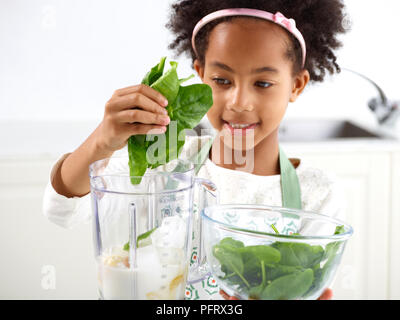 Green Smoothie  Adding spinach to a blender (Step 2 of 3) Stock Photo