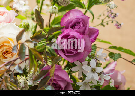 Rose flower arrangement Stock Photo