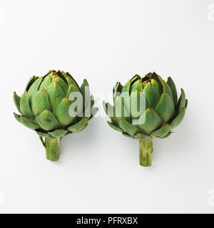 Artichoke on display Stock Photo