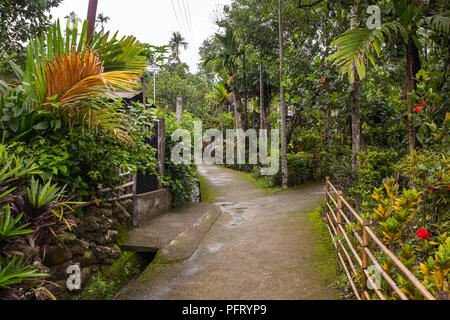 Clean pathway in Mawlynnong village, Meghalaya, North East India. It was declared as the cleanest village in India. Stock Photo