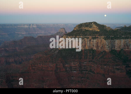 Landscape at Dawn with Moon - Grand Canyon, View from the North Rim Stock Photo